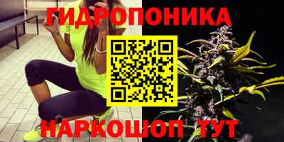 ALPHA PVP Чебаркуль