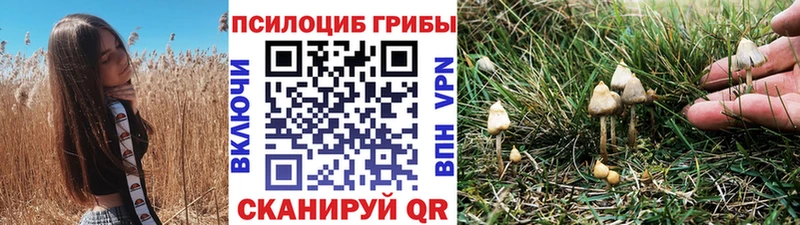 Галлюциногенные грибы Cubensis  Ставрополь 