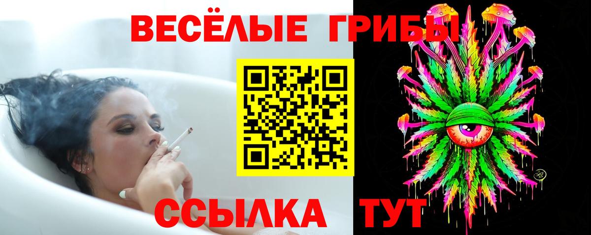 Галлюциногенные грибы GOLDEN TEACHER Ставрополь